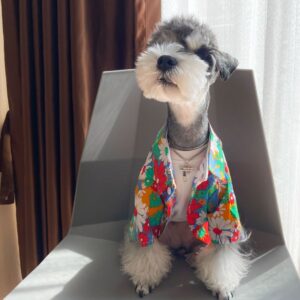 Shiba Inu strand-stijl Trendy huisdiershirt Unieke persoonlijkheid