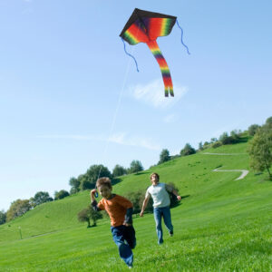 Grote Rainbow Delta-vliegerset, 1 driehoekige vlieger + 1 octopusvlieger + 2 vliegersnaren, kleurrijke vliegerset voor lente- en zomerfeestdecoraties