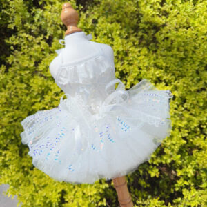 Huisdierrok Lente Zomer Kat- en hondenkleding Kant Mesh Tutu-jurk