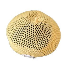 Nieuwe uitgeholde geweven baret voor dames zomerstijl