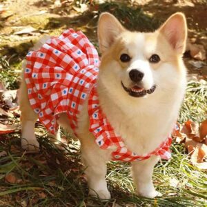 Rode geruite jurk voor kleine honden Meisje lente Kattenkleding met hartpatroon Zomer huisdierjurken voor honden Katten Schattige puppy-outfit voor kleine hond met riemring