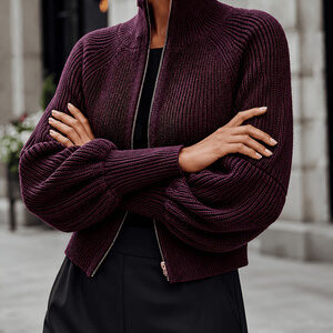 European And American Style Stand-up Collar Zippered Knit Sweater For Women, High-end, Loose-fitting, Slimming, Versatile For Commuting, Knitted Cardigan Top